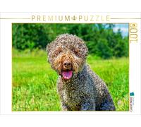 Puzzle CALVENDO Portrait d'une chienne | 1000 pièces, format assemblé 64 × 48 cm