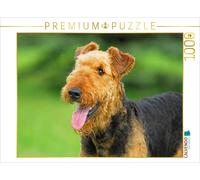 CALVENDO Puzzle Portrait d'une garce 1000 Pieces 64 x 48 cm from Sista-Tierfoto