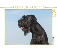 CALVENDO Puzzle Portrait d'une Chienne Schnauzer géante 1000 Pieces 64 x 48 cm from Sista-Tierfoto