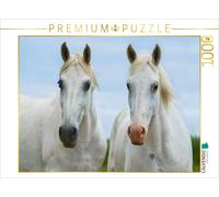 CALVENDO Puzzle Portrait de Jument 1000 Pieces 64 x 48 cm from Sista-Tierfoto
