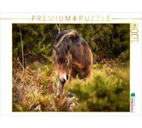 Puzzle CALVENDO Poulain timide | 1000 pièces, format assemblé 64 × 48 cm | Puzzl