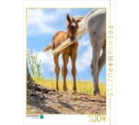Puzzle CALVENDO Poulains arabes emportés par le vent | 1000 pièces, format assem