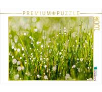 CALVENDO Puzzle Prairie avec la rosée du Matin 1000 Pieces 64 x 48 cm from ULF Pipping