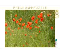 CALVENDO Puzzle Prairies de rêve à Texel - Calendrier 1000 Pieces 64 x 48 cm from Eike Winter