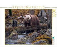 Puzzle · Première Recherche de Nourriture | Grizzly dans le fjord de Glendale Cove, Kanada · 1000 pièces · Format assemblé 64 × 48 cm · CALVENDO Puzzle