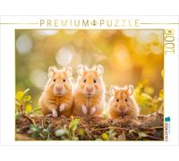 Puzzle CALVENDO Profiter du soleil | 1000 pièces, format assemblé 64 × 48 cm | P