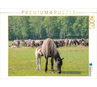 Puzzle CALVENDO Protection chez la mère | 1000 pièces, format assemblé 64 × 48 c