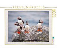 Puzzle CALVENDO Puffins dans leur environnement naturel | 1000 pièces, format as