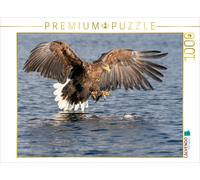 CALVENDO Puzzle Seeadler 1000 Teile Puzzle quer 1000 Pieces 64 x 48 cm from Stephan Peyer