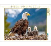Puzzle CALVENDO Pygargue à tête blanche avec jeunes oiseaux au nid dans un décor