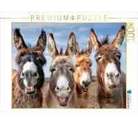 Puzzle CALVENDO Quatre amis des ânes | 1000 pièces, format assemblé 64 × 48 cm |