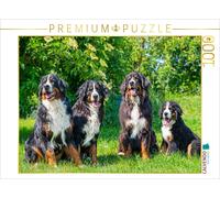 Puzzle CALVENDO Quatre beautés - Chiens de montagne bernois | 1000 pièces, forma