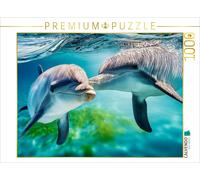 Puzzle CALVENDO Quelle vie de dauphin | 1000 pièces, format assemblé 64 × 48 cm