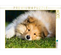 Puzzle CALVENDO Qui ne tomberait pas amoureux ici ? | 1000 pièces, format assemb