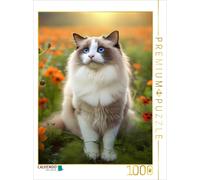 Puzzle CALVENDO Ragdoll assis dans un champ entre des fleurs délicates orange |