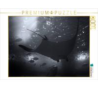 Puzzle CALVENDO raie manta géante | 1000 pièces, format assemblé 64 × 48 cm | Pu
