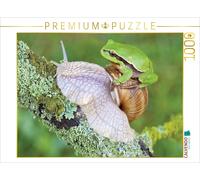 CALVENDO Puzzle Laubfrosch/Weinbergschnecke 1000 Teile Puzzle quer 1000 Pieces 64 x 48 cm from Klaus Feske