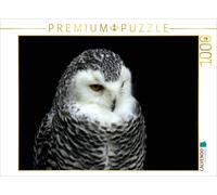 Puzzle CALVENDO Rapaces - Harfang des neiges | 1000 pièces, format assemblé 64 ×