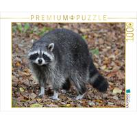 Puzzle CALVENDO ratons laveurs | 1000 pièces, format assemblé 64 × 48 cm | Puzzl