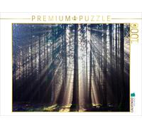 Puzzle CALVENDO Rayons de soleil dans la forêt | 1000 pièces, format assemblé 64