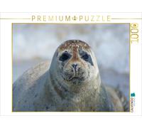 Puzzle CALVENDO Regard de phoque | 1000 pièces, format assemblé 64 × 48 cm | Puz