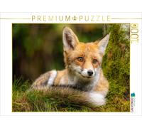 Puzzle CALVENDO Renard | 1000 pièces, format assemblé 64 × 48 cm | Puzzle photo