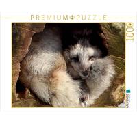 CALVENDO Puzzle Renard Arctique 1000 Pieces 64 x 48 cm from Heike Hultsch