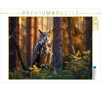 Puzzle CALVENDO Repos | 1000 pièces, format assemblé 64 × 48 cm | Puzzle photo p