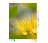 Puzzle CALVENDO Rêve de fleurs jaunes | 1000 pièces, format assemblé 64 × 48 cm