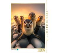 Puzzle CALVENDO Robben | 1000 pièces, format assemblé 64 × 48 cm | Puzzle photo