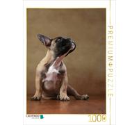 Puzzle CALVENDO Rocky - Bouledogue français, 16 semaines | 1000 pièces, format a