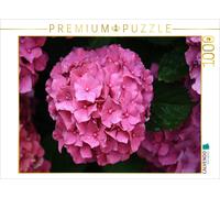 Puzzle CALVENDO Rosée matinale sur l'hortensia | 1000 pièces, format assemblé 64