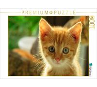 Puzzle CALVENDO Roter Kater | 1000 pièces, format assemblé 64 × 48 cm | Puzzle p