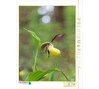 CALVENDO Puzzle Chausson de Dame Jaune 1000 Pieces 48 x 64 cm from Christian Birzer