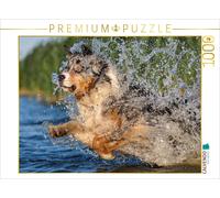 Puzzle CALVENDO S'amuser dans l'Elbe | 1000 pièces, format assemblé 64 × 48 cm |