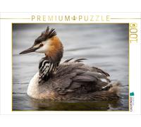 Puzzle CALVENDO sécurité | 1000 pièces, format assemblé 64 × 48 cm | Puzzle phot