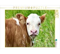 Puzzle CALVENDO Série de photos : Vaches et veaux dans les prairies de l'Eifel -