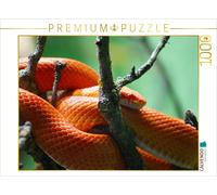 CALVENDO Puzzle Rot orangene Kornnatter 1000 Teile Puzzle quer 1000 Pieces 64 x 48 cm from Kattobello