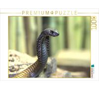 CALVENDO Puzzle Serpents Dangereux - Cobra d'Arabie 1000 Pieces 64 x 48 cm from Michael Herzog