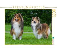 Puzzle CALVENDO Sheltie - Un couple de rêve | 1000 pièces, format assemblé 64 ×