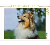 Puzzle CALVENDO Sheltie - Une jolie petite chienne | 1000 pièces, format assembl