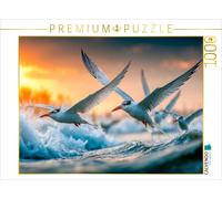 Puzzle CALVENDO Si les poissons se laissent attraper ici | 1000 pièces, format a
