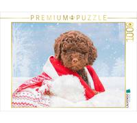 Puzzle CALVENDO Si l'on s'habille chaudement, on n'a pas froid | 1000 pièces, fo