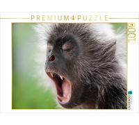 CALVENDO Puzzle AFFE 1000 Teile Puzzle quer 1000 Pieces 64 x 48 cm from Dieter Gödecke