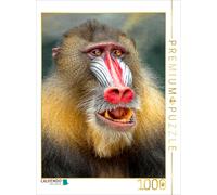 Puzzle CALVENDO singe | 1000 pièces, format assemblé 64 × 48 cm | Puzzle photo p