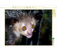 Puzzle CALVENDO Singe à queue en forme de doigt (Aye-aye) | 1000 pièces, format