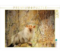 Puzzle CALVENDO singe argenté | 1000 pièces, format assemblé 64 × 48 cm | Puzzle