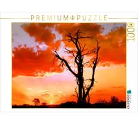 Puzzle CALVENDO Soirée en Namibie | 1000 pièces, format assemblé 64 × 48 cm | Pu