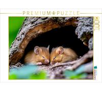 Puzzle CALVENDO Souris | 1000 pièces, format assemblé 64 × 48 cm | Puzzle photo