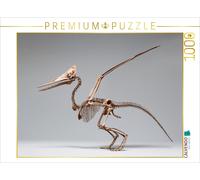 Puzzle CALVENDO Squelette de ptéranodon avec envergure et profil de crête | 1000